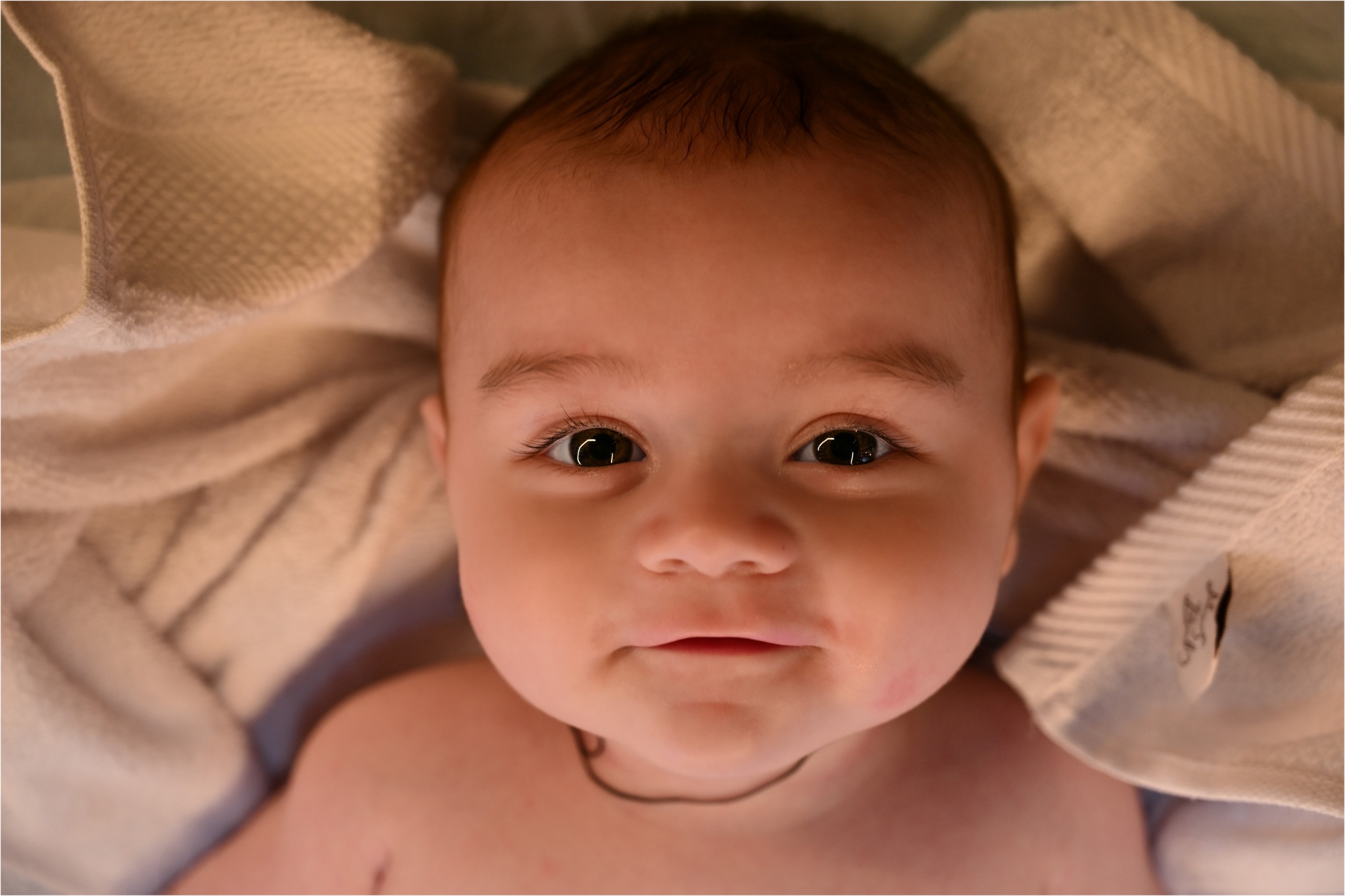Ședință foto nou-născut Newborn Lohne